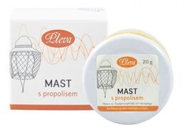 Mast s propolisem 20g